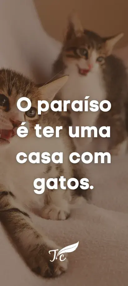 briannadamra.tumblr.com  Gatos bonitos, Arte con gatos, Gatos