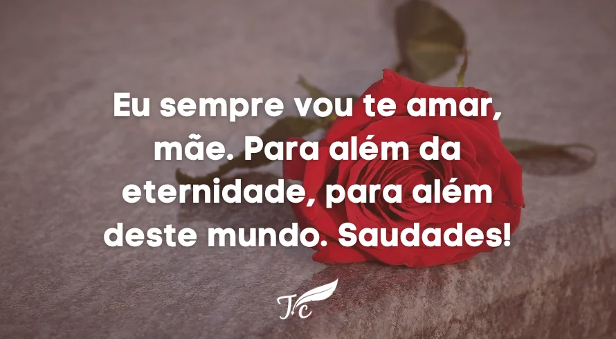 Texto Para Mae Falecida Tumblr Homenagem De Saudade 22