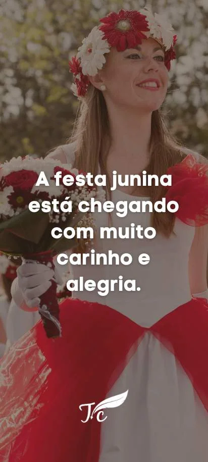 Textinho de festa junina